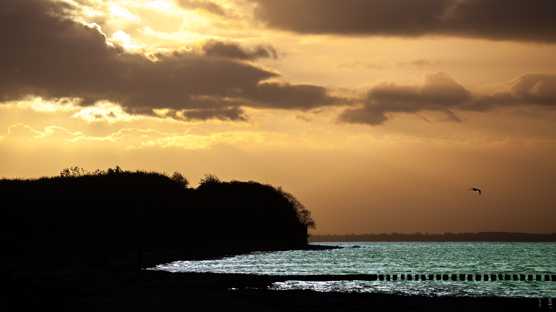 Küste & Meer 06