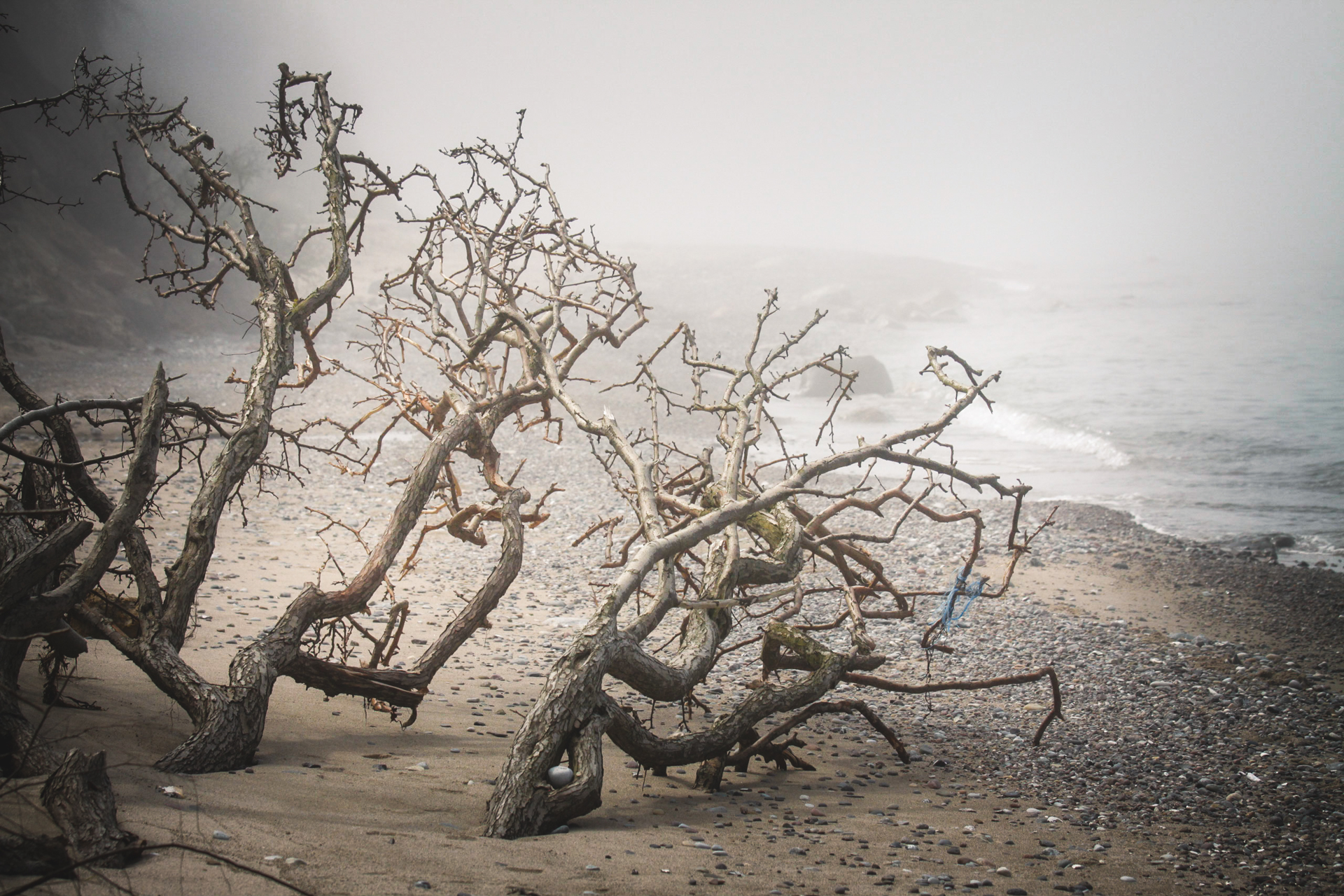 Küste & Meer 08