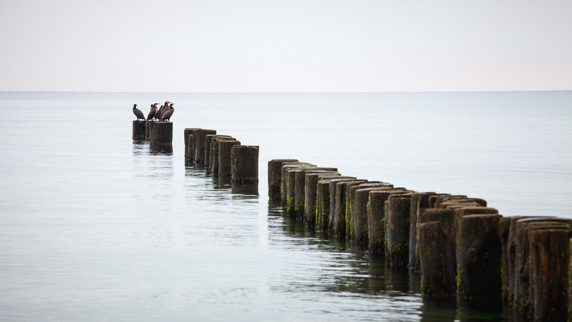 Küste & Meer 18