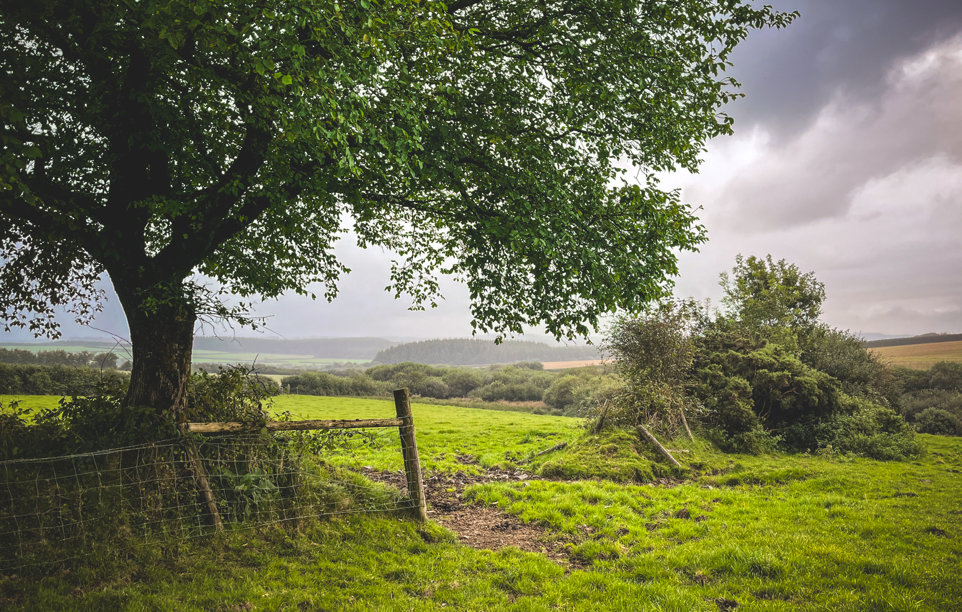Schottland & England 02